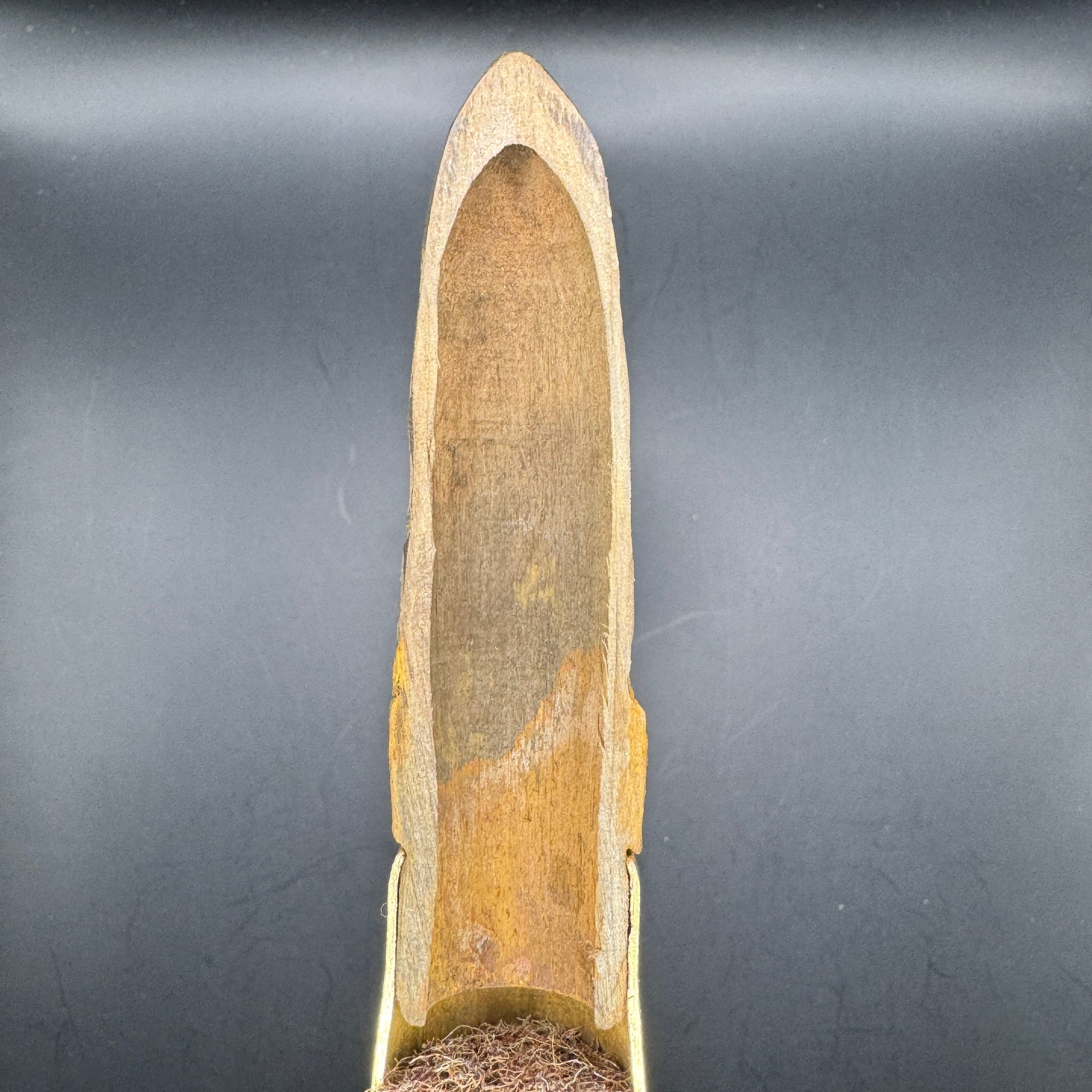 WW2 original artifact – 20mm FLAK Blank Round – 1938 – interior page