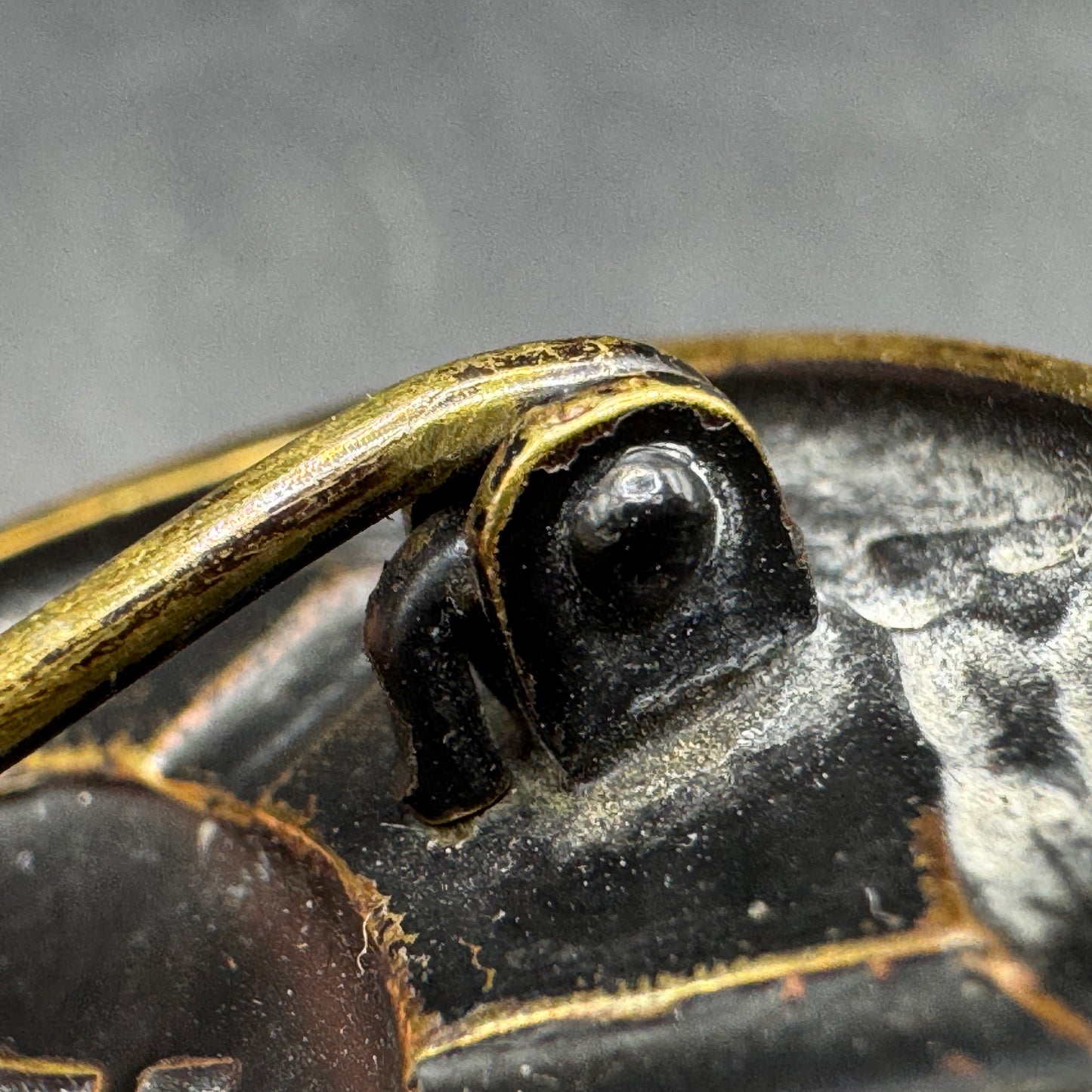 WW2 original artifact – Verwundeten Abzeichen (VWA) Schwarz – interior title page