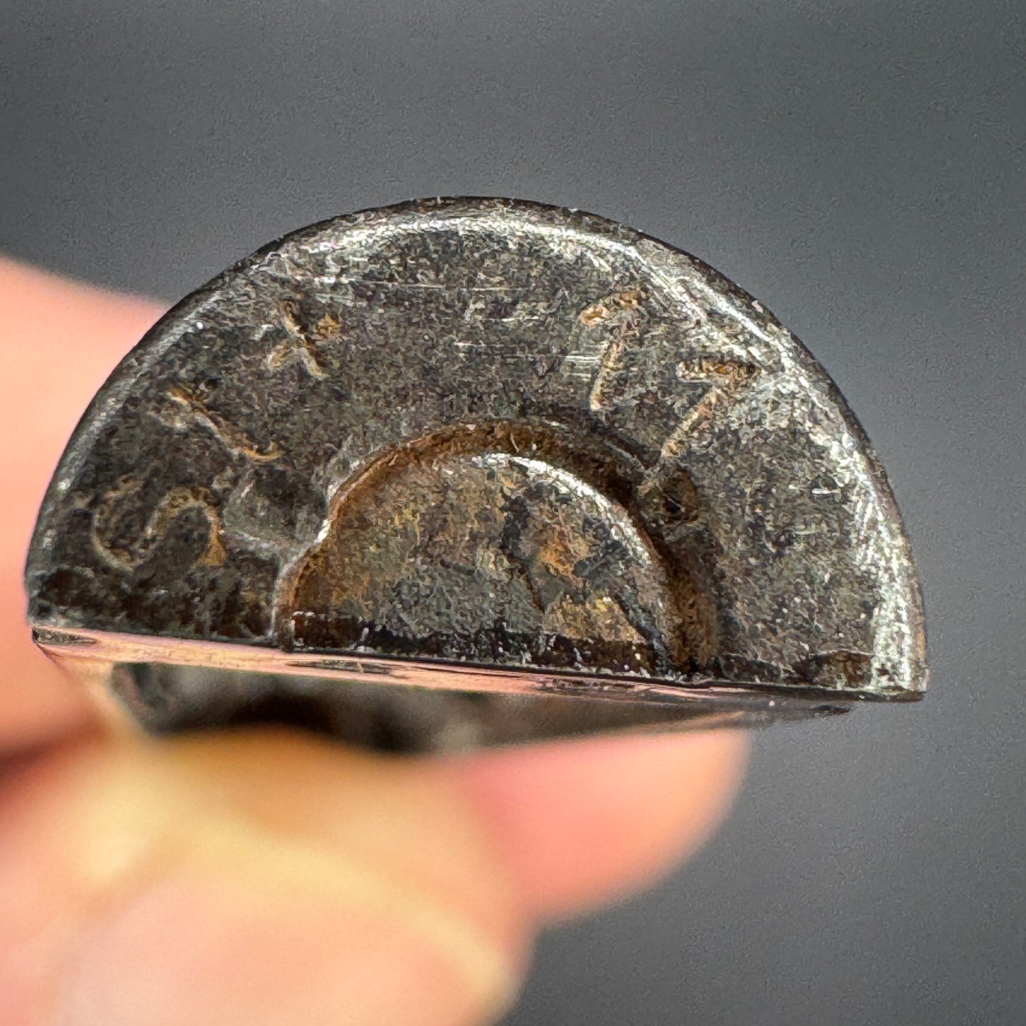 WW2 original artifact – K98 Propelling Cartridge – interior page