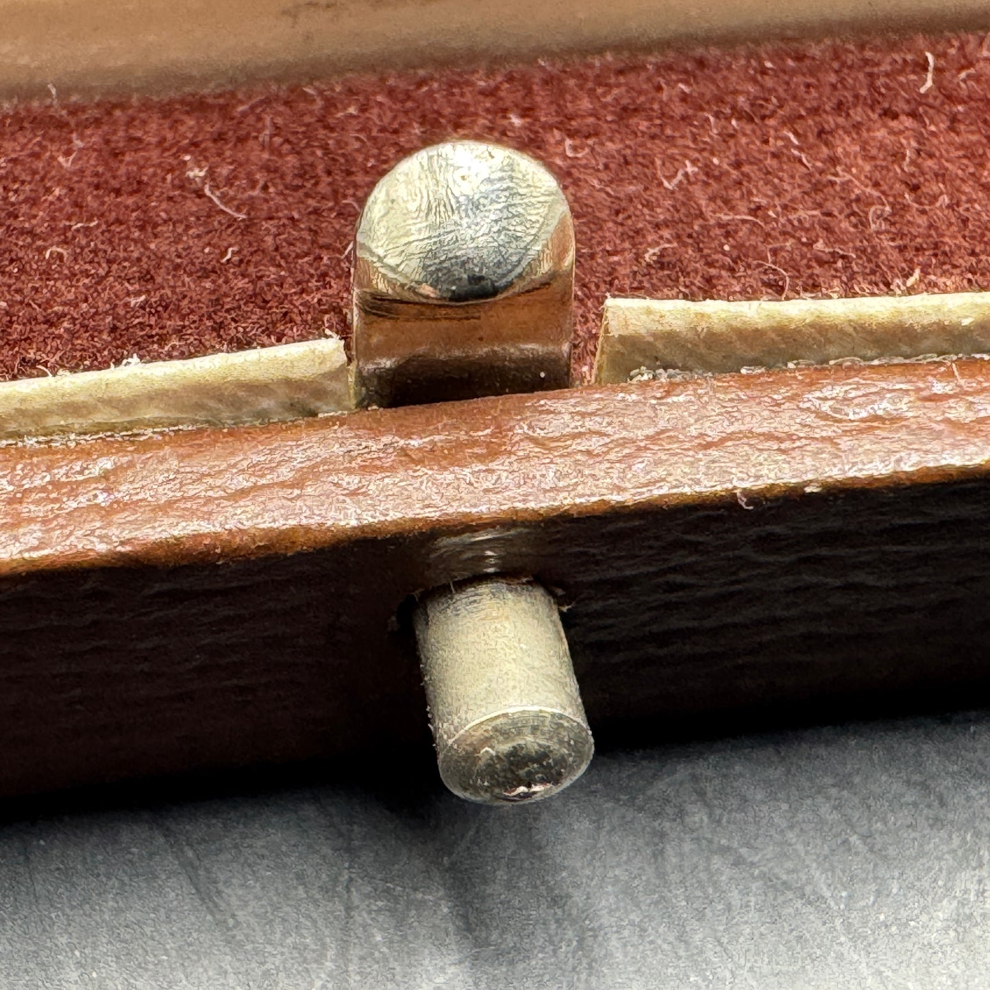 WW2 original artifact – Extremely rare!! Reichsverband für das deutsche hundewesen with original case – interior page