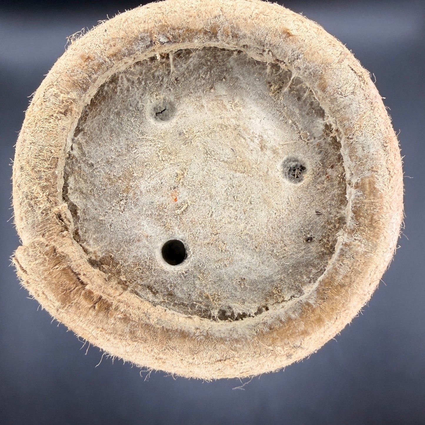 WW2 original artifact – Flak 20mm casing with original paper tube – interior page