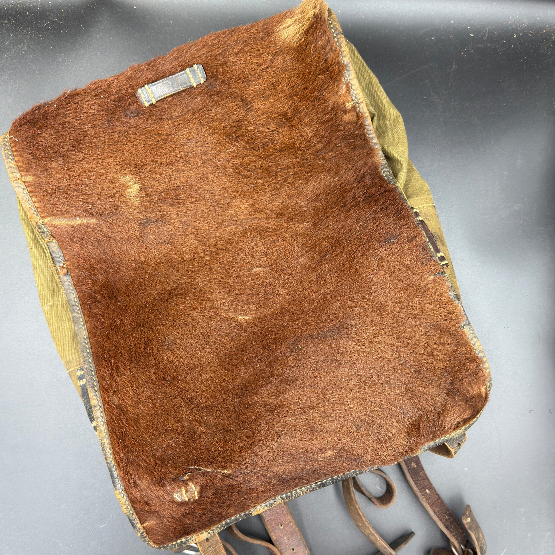 WW2 original artifact – Tornister 'Bautzen' 1940 – AxisArtifacts