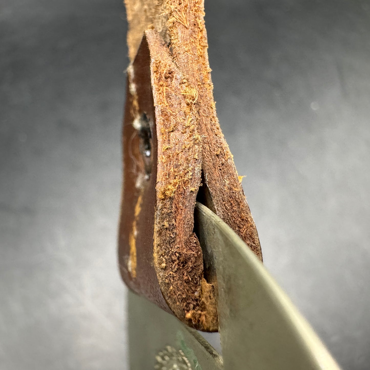 WW2 original artifact – WWII-era German metal swastika mounted on leather – interior page