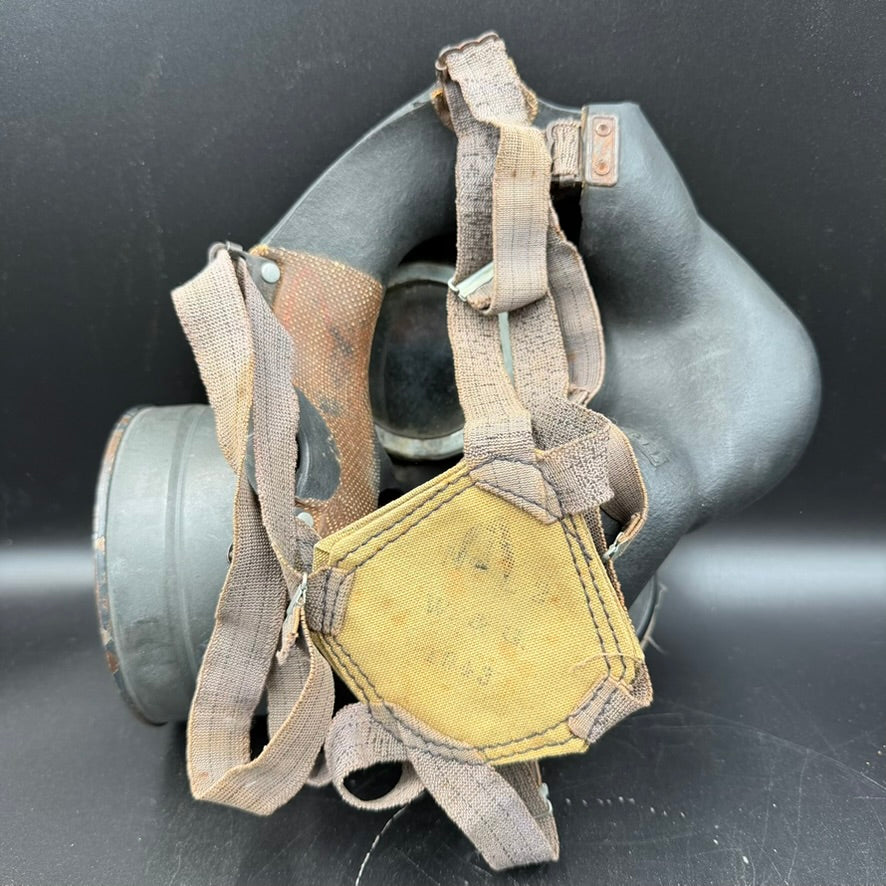 Rear view showing complete strap configuration