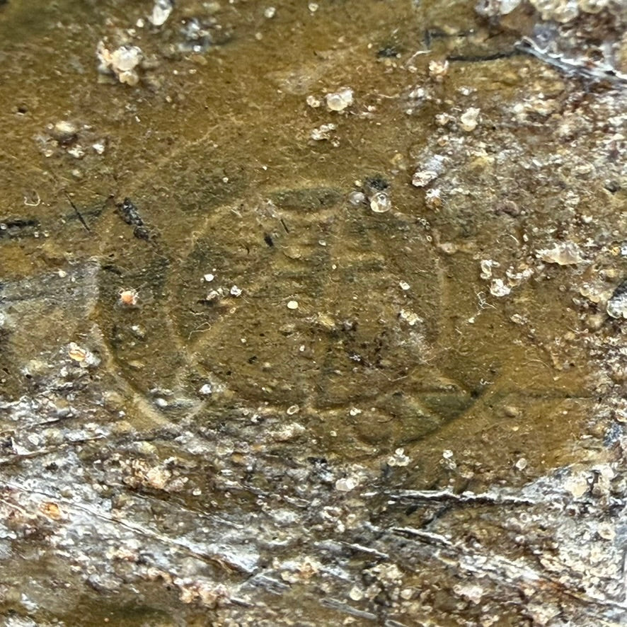 Faint Notek maker marking visible on corroded housing