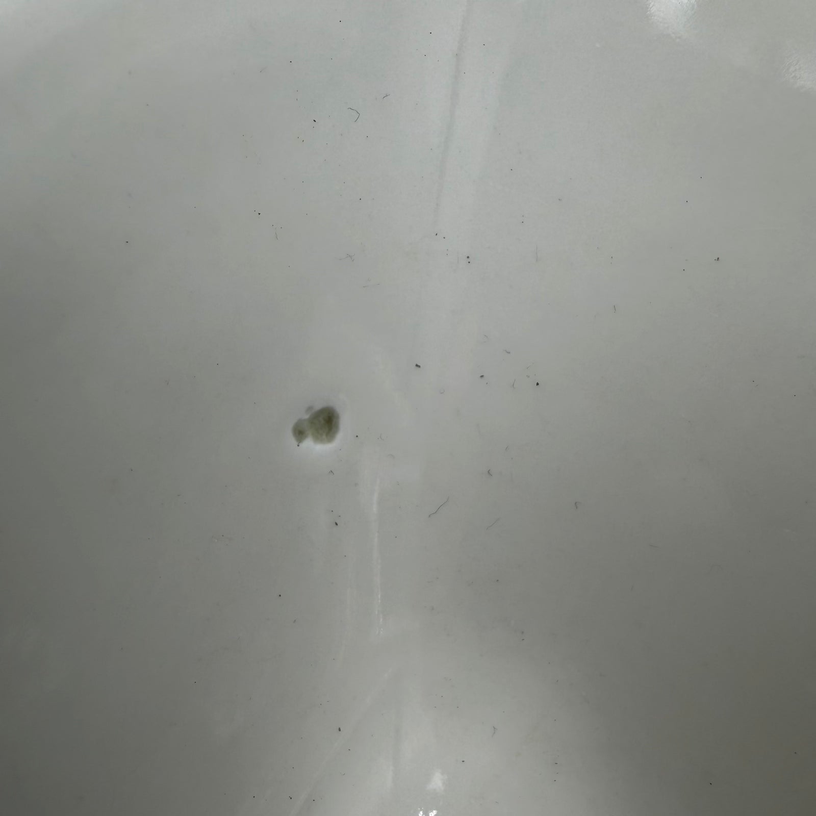 WW2 original artifact – Ultra-Rare WW2 “FELDA RHÖN – Stadlengsfeld 1942” Porcelain Serving Bowl – Reichsarbeitsdienst Marked – Glider Training Camp Issue – 34 cm – interior page