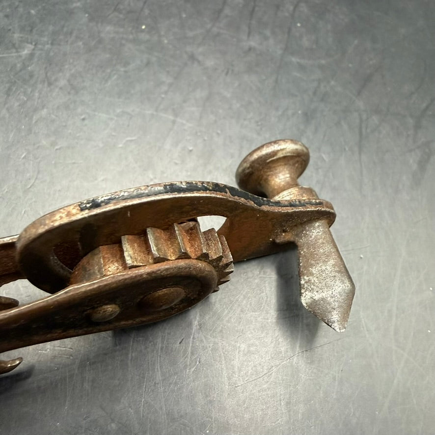 Detail of toothed cutting wheel on WWII era German adjustable can opener