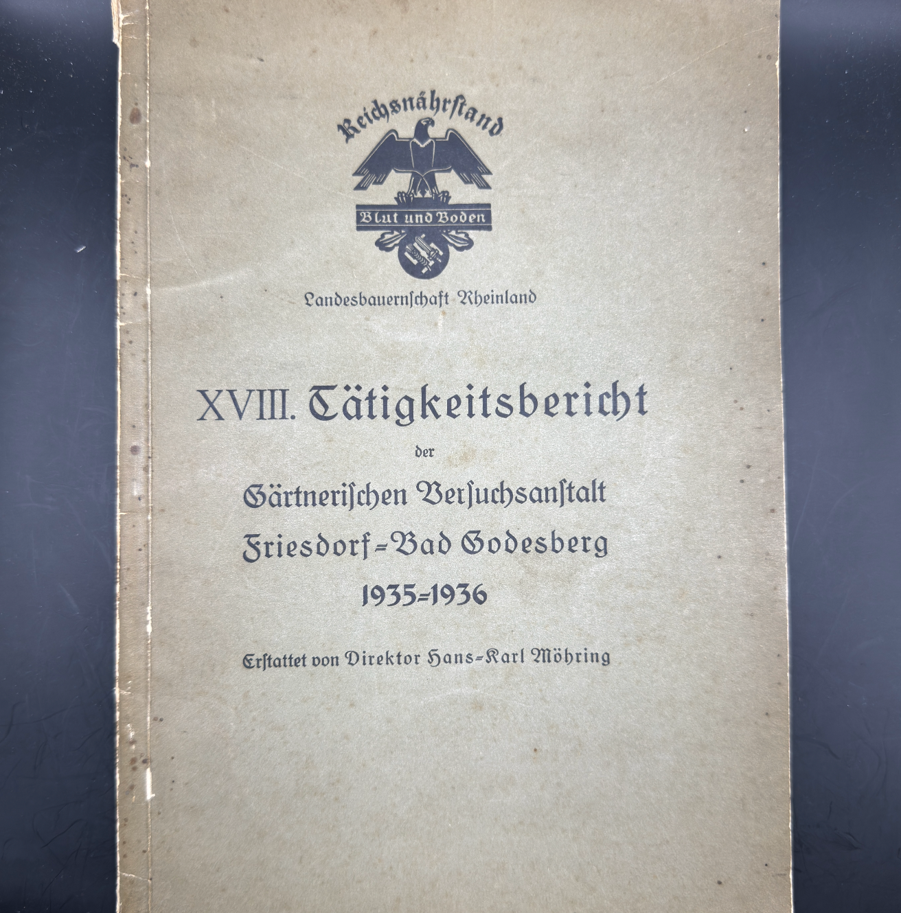 WW2 original artifact – Reichsnährstand Tätigkeitsbericht 1935-1936 – AxisArtifacts