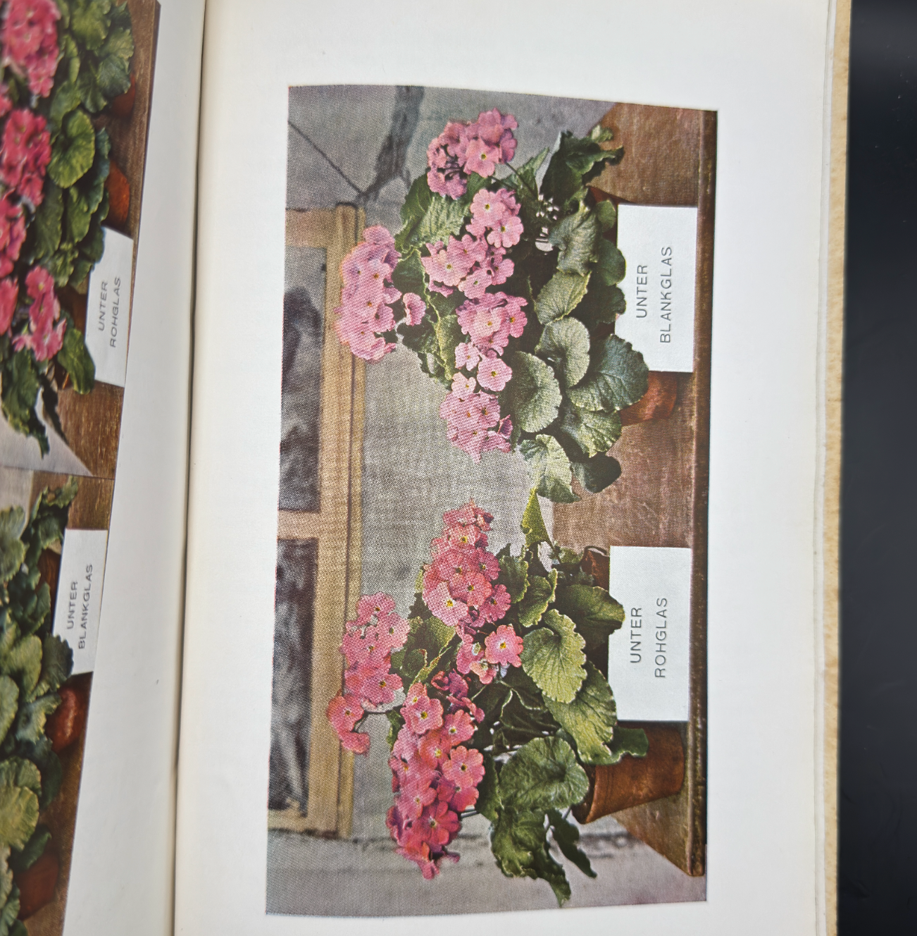 WW2 original artifact – Reichsnährstand Tätigkeitsbericht 1935-1936 – interior page