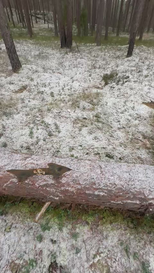 Forest area where WW2 relics such as German military signs are commonly recovered